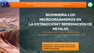 universidad nacional de moquegua escuela