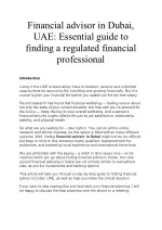 Financial advisor in Dubai, UAE - slide 1