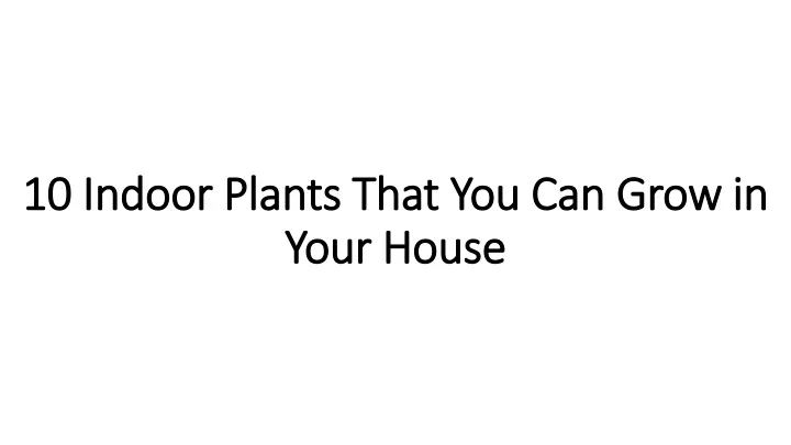 10 indoor plants that you can grow in your house