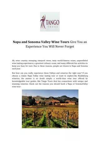 Napa and Sonoma Valley Wine Tours Give You an Experience You Will Never Forget