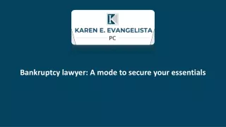 Bankruptcy lawyer: A mode to secure your essentials
