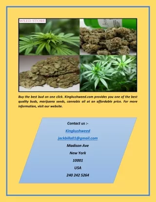 Bud for sale | Kingkushweed.com