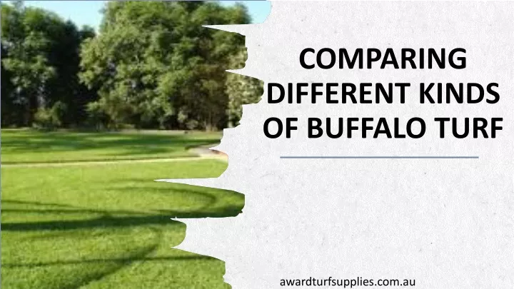 comparing different kinds of buffalo turf