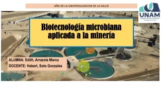 biotecnologia microbiana aplicada la mineria