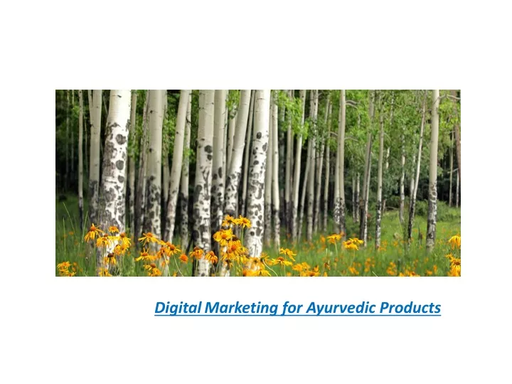 digital marketing for ayurvedic products