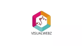 Visualwebz LLC