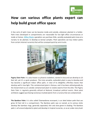 How can various office plants expert can help build great office space