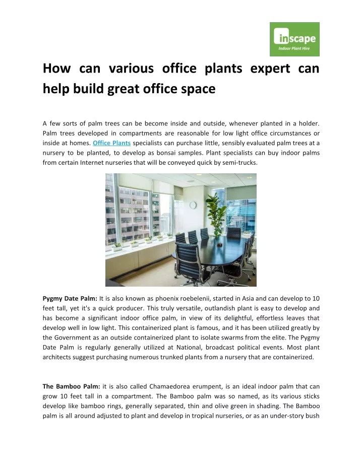 how can various office plants expert can help