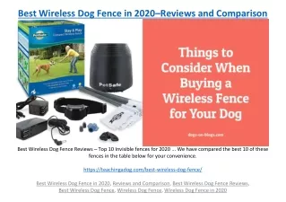 best wireless dog fence in 2020 reviews