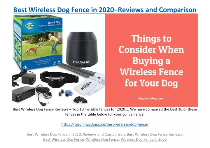 best wireless dog fence in 2020 reviews