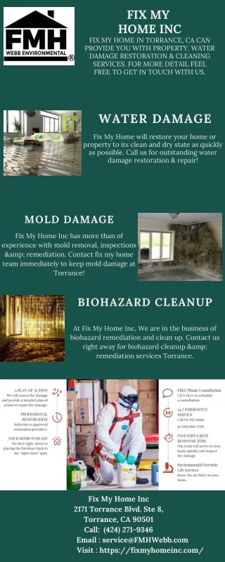 professional home mold removal in torrance ca