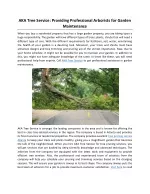 AKA Tree Service: Providing Professional Arborists for Garden Maintenance - slide 1