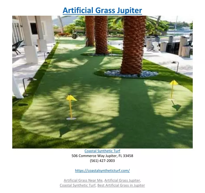 artificial grass jupiter