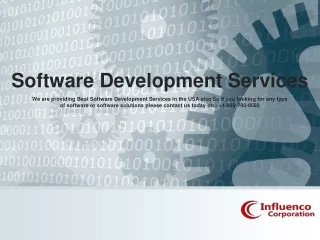 Software Development Services in USA