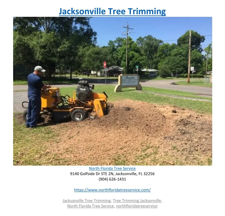 jacksonville tree trimming
