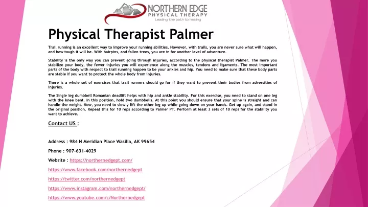 physical therapist palmer