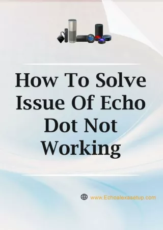 How To Solve Issue of Echo Dot Not Working - Echo Alexa Setup