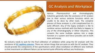 gc analysis and workplace