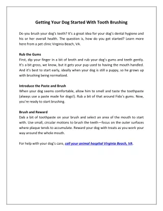 getting your dog started with tooth brushing