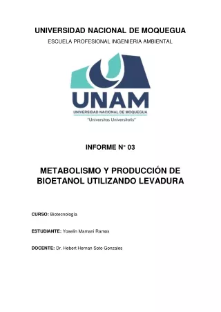 Metabolismo y Producción de Bioetanol utilizando Levadura