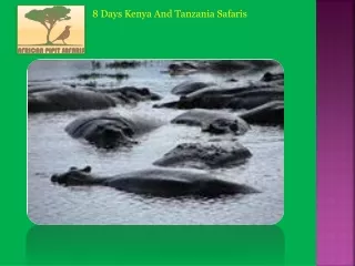 8 Days Kenya and Tanzania Safaris
