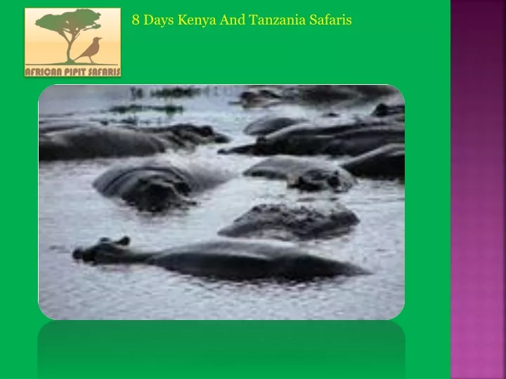 8 days kenya and tanzania safaris