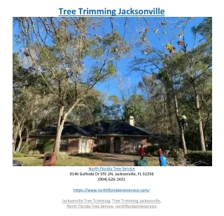 tree trimming jacksonville