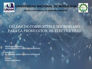 celdas de combustible microbiana