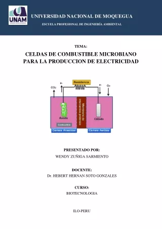 celdas de combustible microbiana