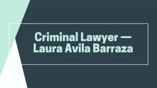 Criminal Lawyer — Laura Avila Barraza