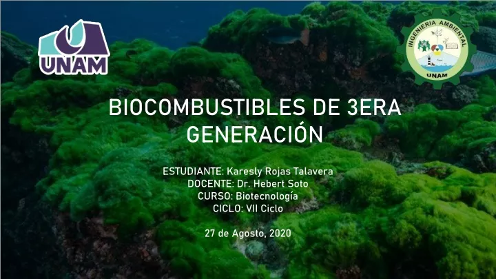 biocombustibles de 3era generaci n