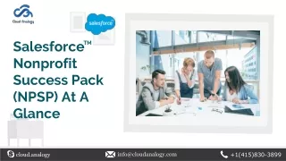 salesforce nonprofit success pack npsp at a glance