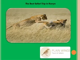 the best safari trip in kenya