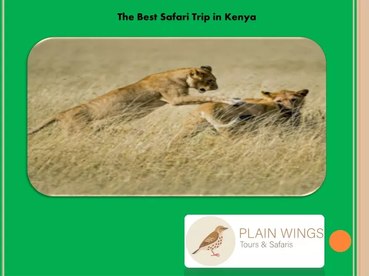 the best safari trip in kenya
