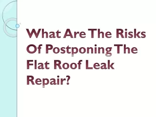 What Are The Risks Of Postponing The Flat Roof Leak Repair?
