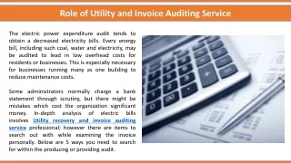 Role of Utility and Invoice Auditing Service