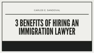 3 Benefits of Hiring an Immigration Lawyer - Carlos E. Sandoval
