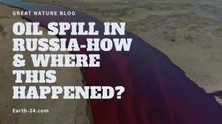 Oil Spill in Russia-How & Where this Happened? Earth-24 blog