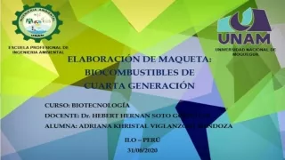 Elaboración de Maqueta: Biocombustible de cuarta generación.