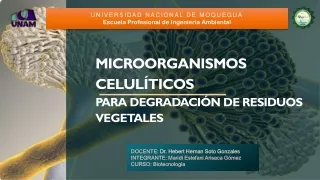 universidad nacional de moquegua escuela
