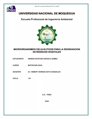 a o de la universalizaci n de la salud