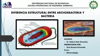 Diferencia estructural de Archaebacteria y bacteria