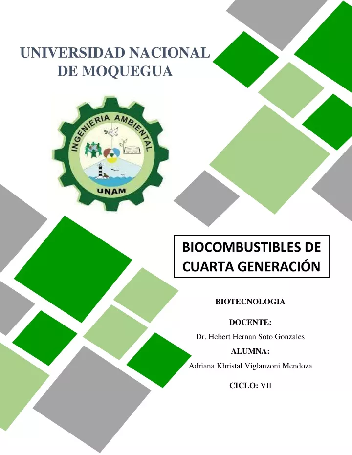 universidad nacional de moquegua