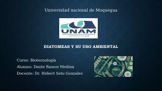 Maqueta: Diatomeas y su uso ambiental PPT