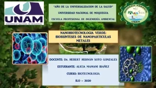 NANOBIOTECNOLOGIA VERDE: BIOSSENTESES NANOPARTICULAS METALES