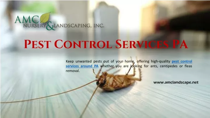 pest control services pa
