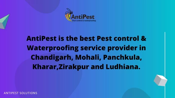 antipest is the best pest control waterproofing
