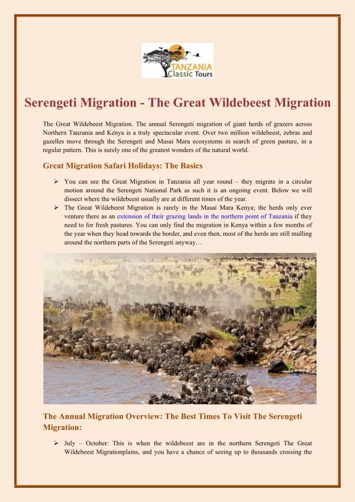 serengeti migration the great wildebeest migration
