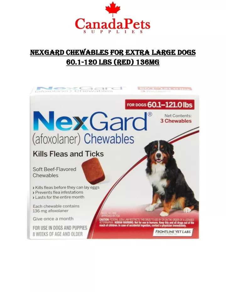 nexgard chewables nexgard chewables for extra