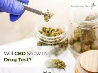 Will CBD Show In Drug Test?